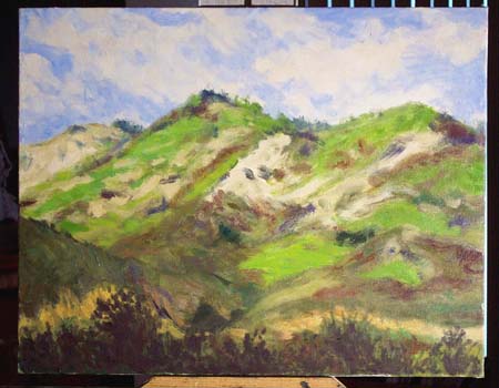 98-07 Spring Hillsides 11 1